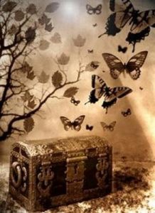 baul-y-mariposas11