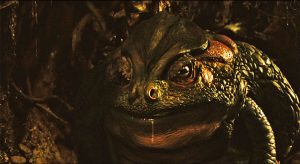 sapo-laberinto-del-fauno